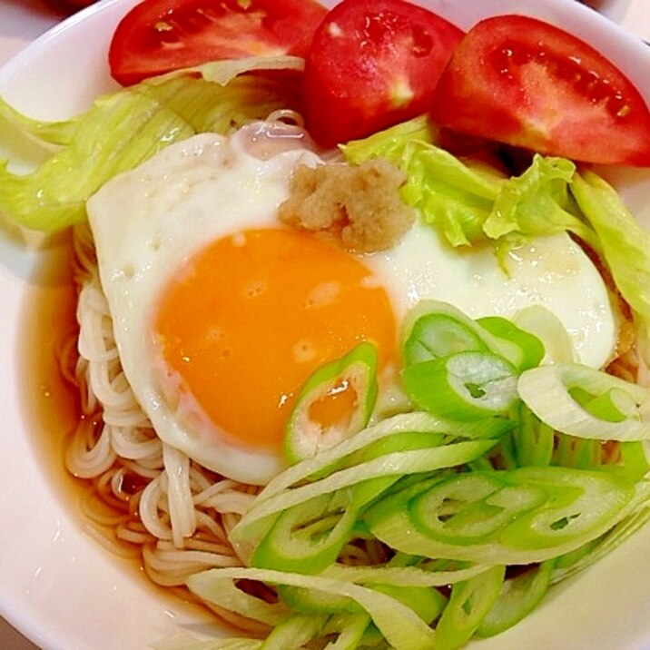 忙しい朝はこれで決まり☆朝サラダ素麺